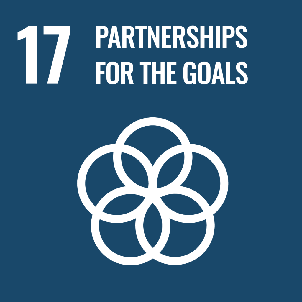 SDG17 that aligns with Adara Development's work